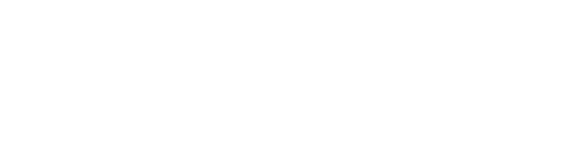 WIZCORE